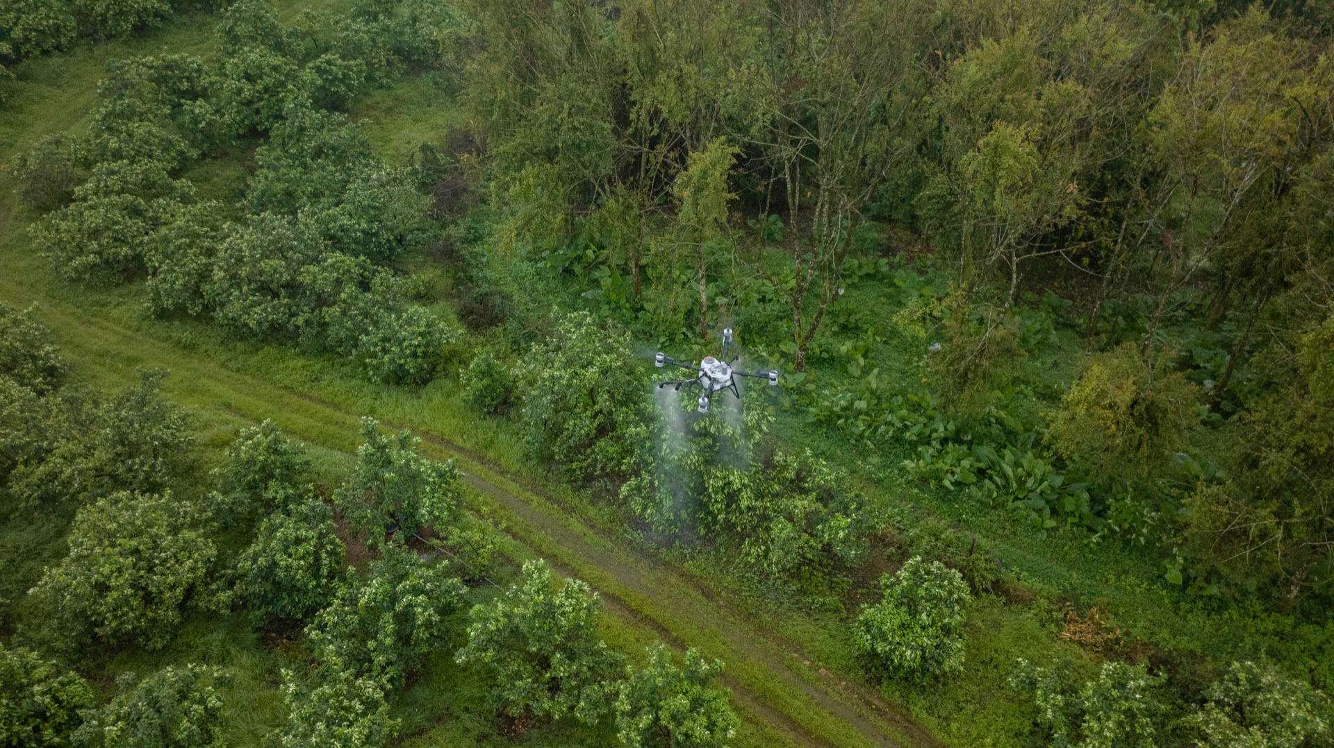Drone DJI Agras en operación agrícola