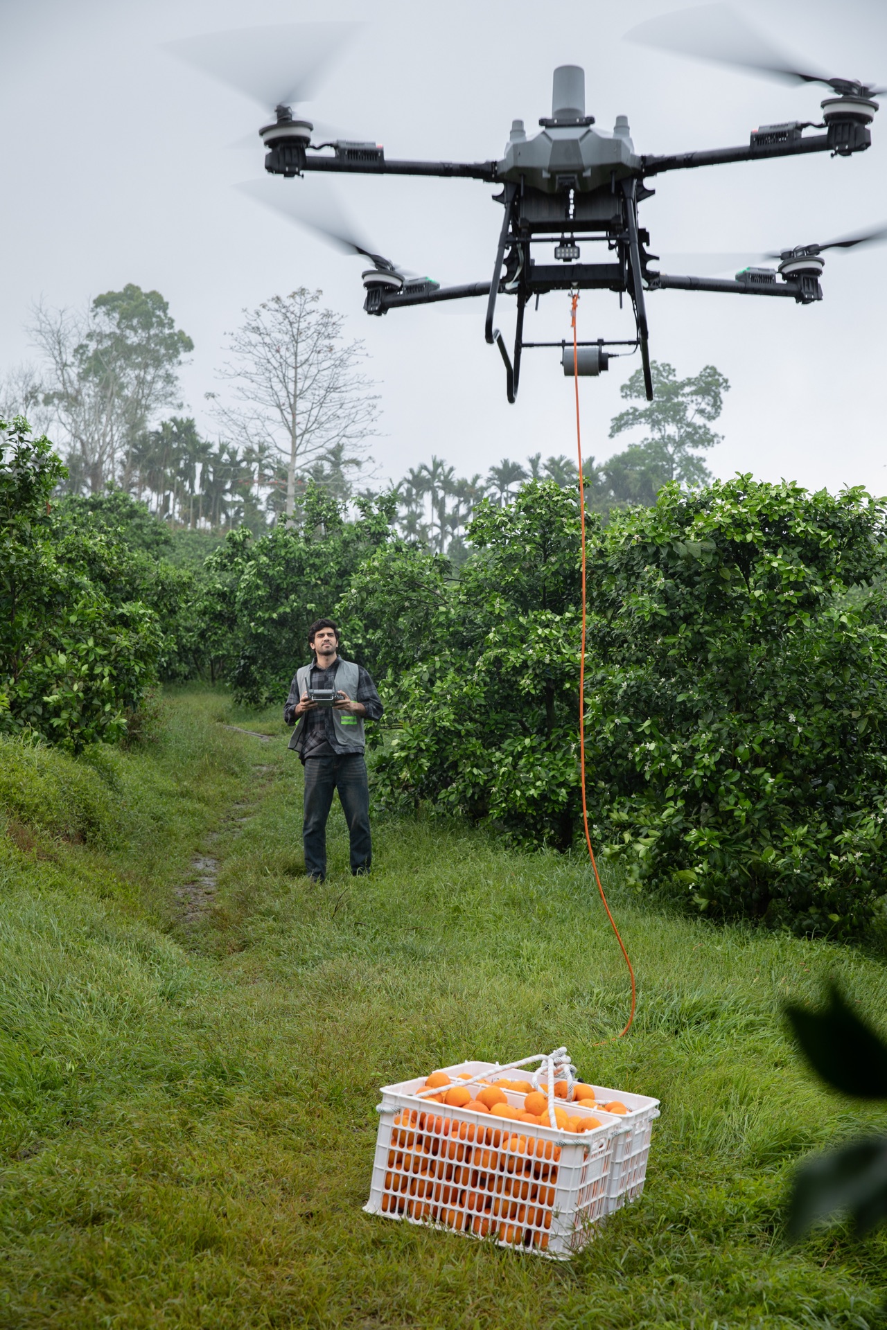 Drone transportando carga en cultivo de ladera