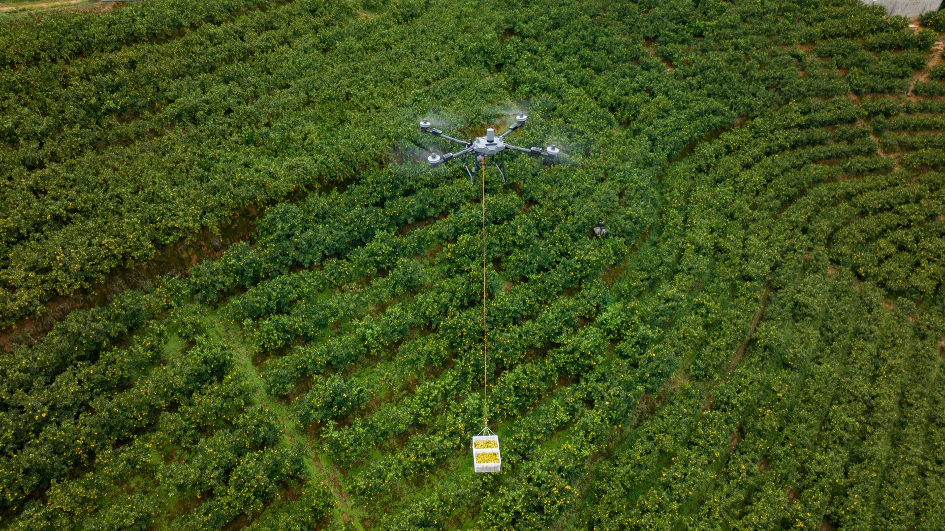 Elevacion de carga con drone agrícola